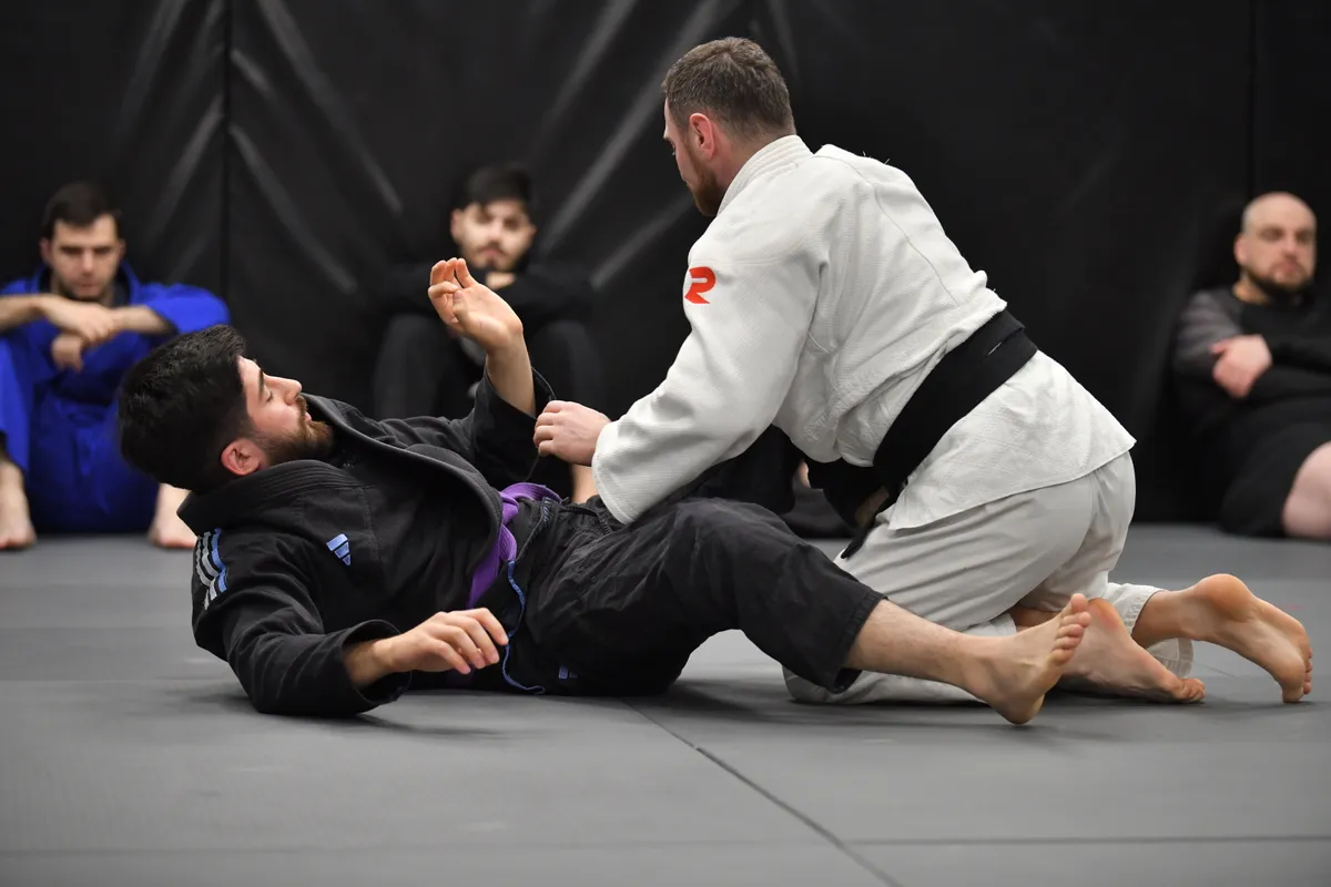 BJJ ფუნდამენტები - 1
