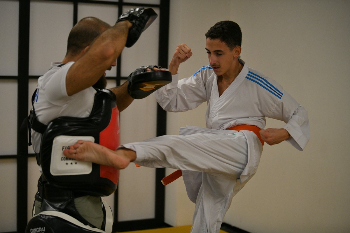 კიოკუშინ კარატე - 1