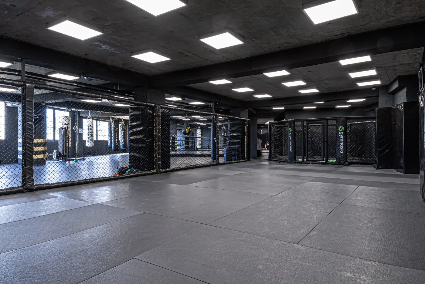 Gymnasia facility