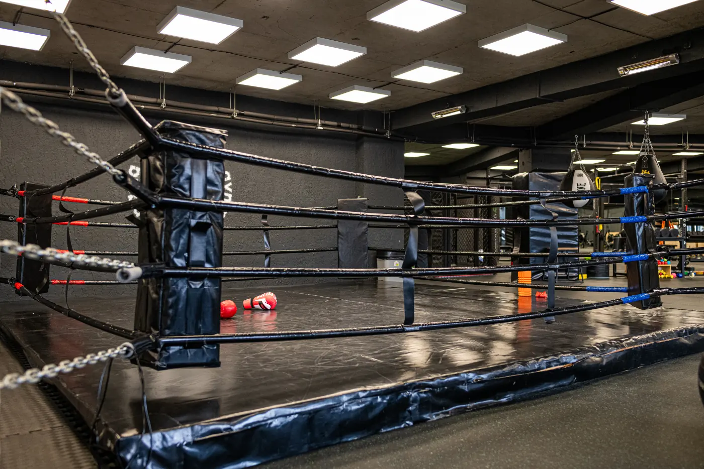 Gymnasia facility